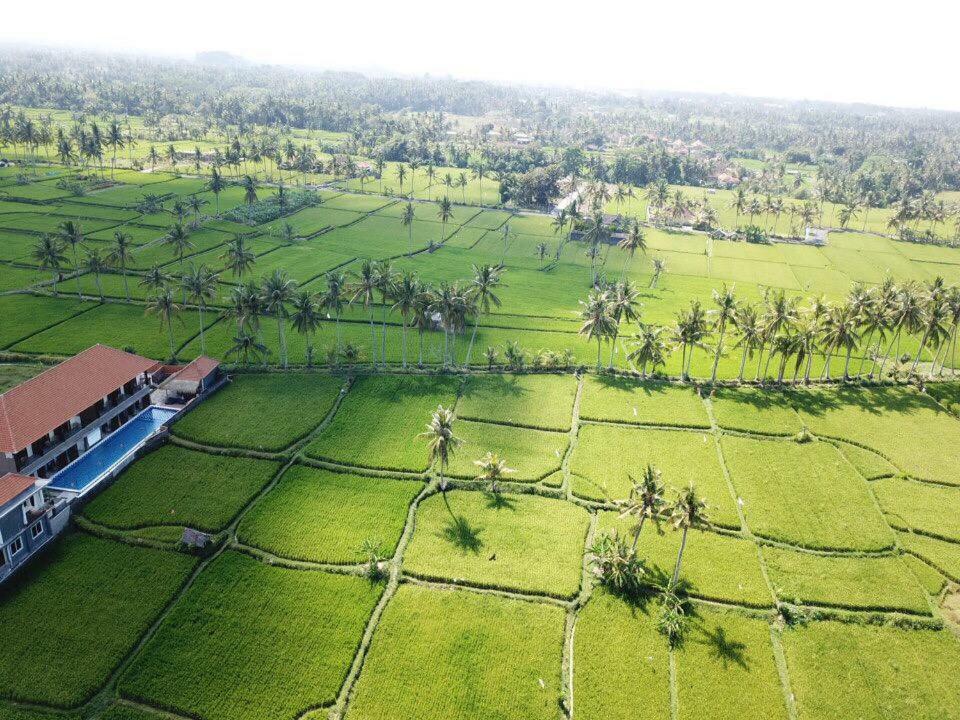 The Sawah Resort & Villa Ubud Dış mekan fotoğraf